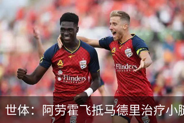 世体：阿劳霍飞抵马德里治疗小腿伤势，乌拉圭目标让其出战西班牙