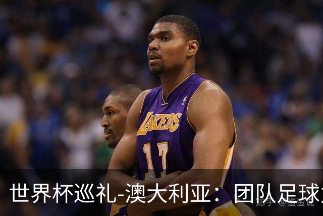 世界杯巡礼-澳大利亚：团队足球力量大，老将“外援”联手造奇迹