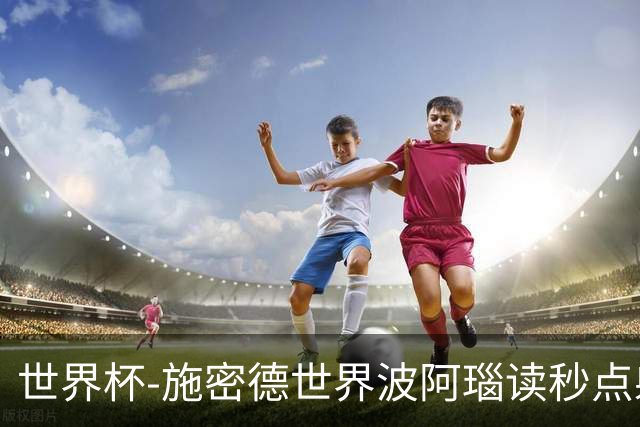 世界杯-施密德世界波阿瑙读秒点射破门 奥地利3-1约旦