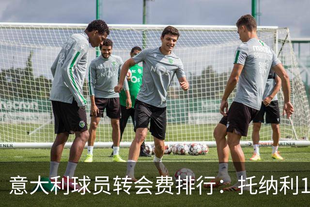 意大利球员转会费排行：托纳利1.08亿欧高居榜首，雷特吉6180万欧