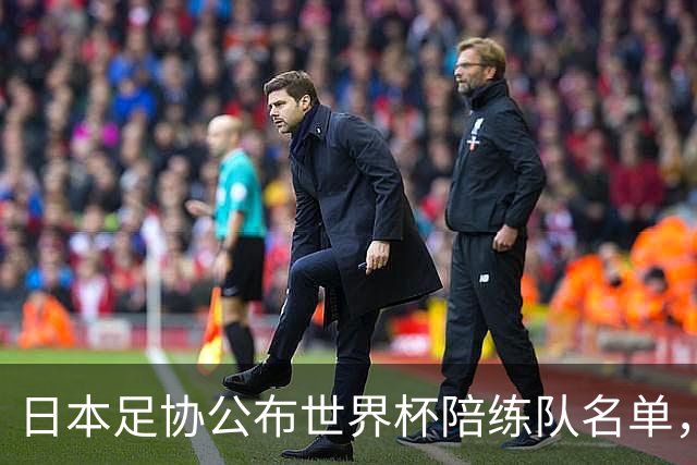 日本足协公布世界杯陪练队名单，U19国青将成蓝武士秘密武器！