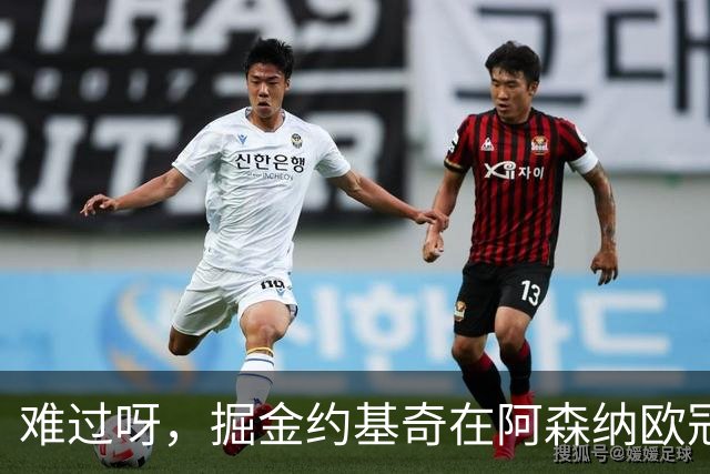 难过呀，掘金约基奇在阿森纳欧冠决赛后，加油助威的喜悦化为乌有
